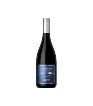 Vino Tinto Luna Llena Gran Malbec Finca Ambrosia