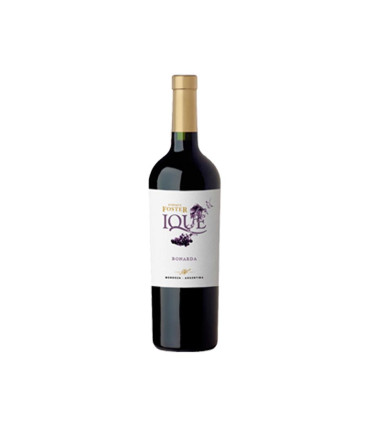 Vino Tinto Ique Bonarda Enrique Foster