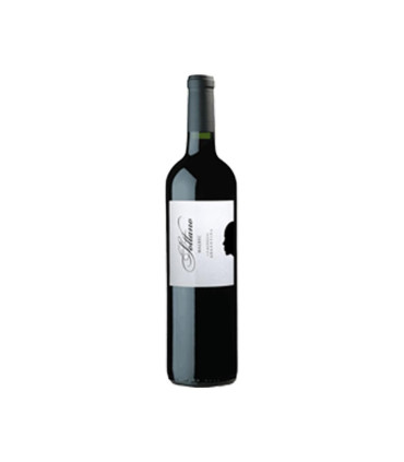 Vino Tinto Sottano Malbec Colosso Wines