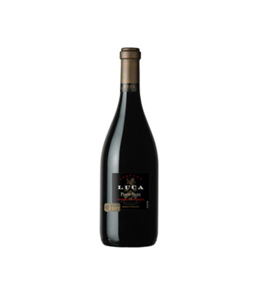 Vino Tinto Luca Pinot Noir G-lot