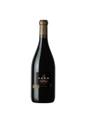 Vino Tinto Luca Pinot Noir G-lot