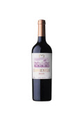 Vino Tinto Juan Benegas Malbec