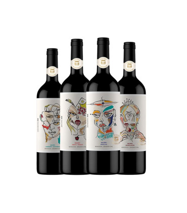 Vino Mix De Vinos Chateau Subsonico Blend - Vinos De Autor Caja X 4 Familia Falasco