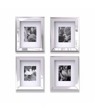 Cuadros Cactus Set X 4