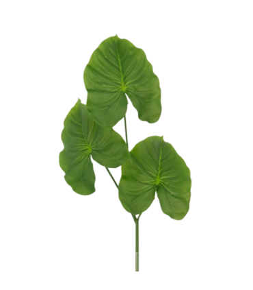 Vara Calla Leaf