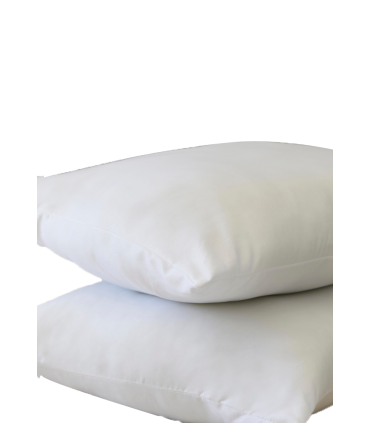 Almohada Pack X 2 - Vellón Siliconado Guinza 40 X 70 Cm