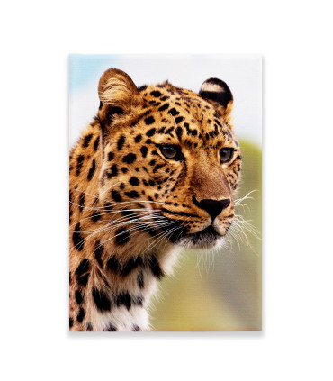 Cuadro Decorativo - Leopardo