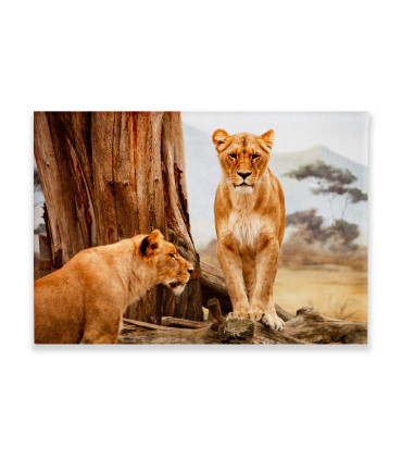 Cuadro Decorativo - Leonas