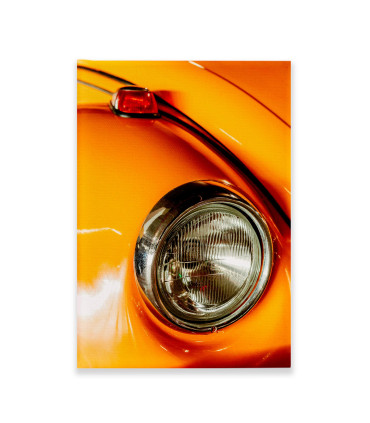Cuadro Decorativo - Beetle Naranja