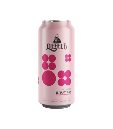 Pack Mismo Estilo X 6 Latas Cervezas - Brut Ipa