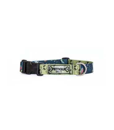 Collar Galaxy - L