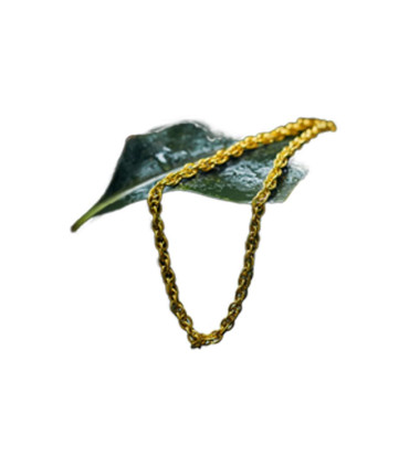 Collar Noe Iii