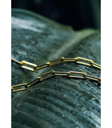 Pulsera Cadena