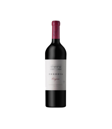 Vino Blend Bressia Conjuro