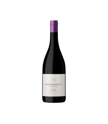 Vino Tinto Monteagrelo Syrah Bressia