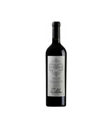 Vino Tinto Gran Enemigo Cabernet Franc Chacayes Aleanna