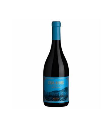 Vino Tinto Casa Boher San Pablo Malbec Rosell Boher