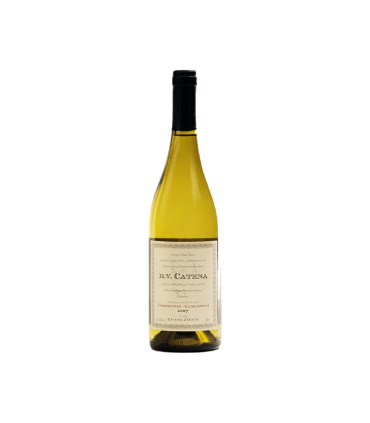 Vino Blanco Dv Chardonnay Catena Zapata