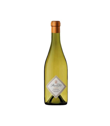 Vino Blanco Pascual Toso Alta Chardonay Pascual Toso