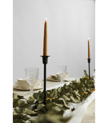 Candelabro Petunia