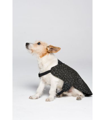 Capa Impermeable Ralphie Negro / 2
