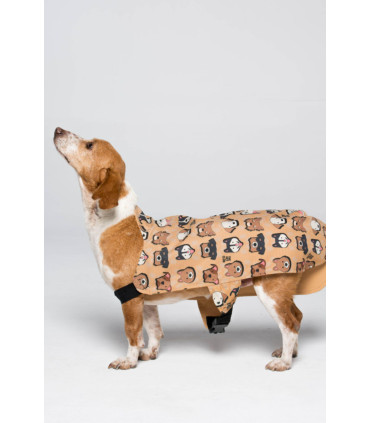 Capa Impermeable Ralphie Beige / 2