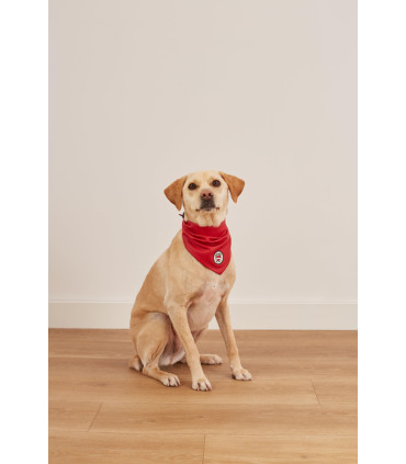 Bandana Reversible Fresa Rojo
