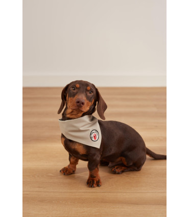 Bandana Reversible Many Palitos Beige / Palitos