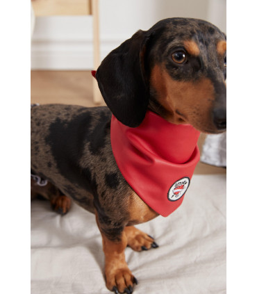 Bandana Reversible Many Palitos / Rojo