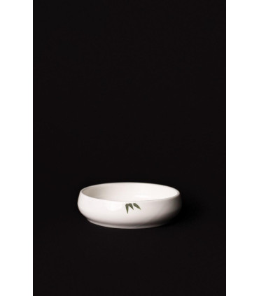 Plato Haon Medium