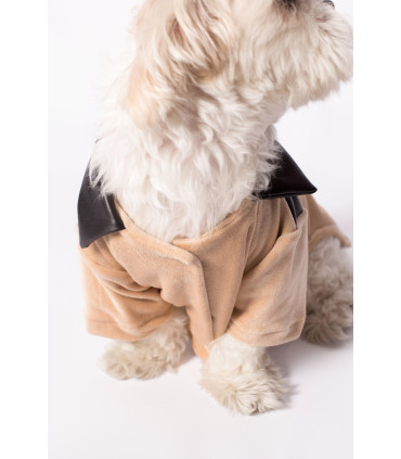 Camisa Azucar Beige / 2