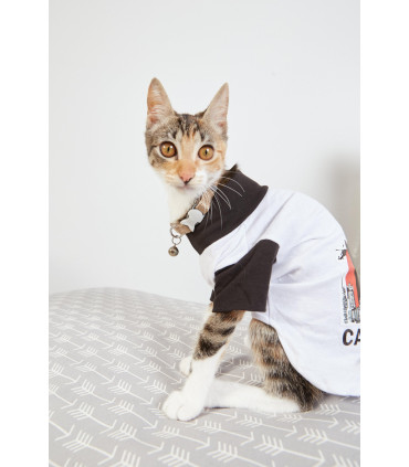 Collar Regulable Con Cascabel Gato