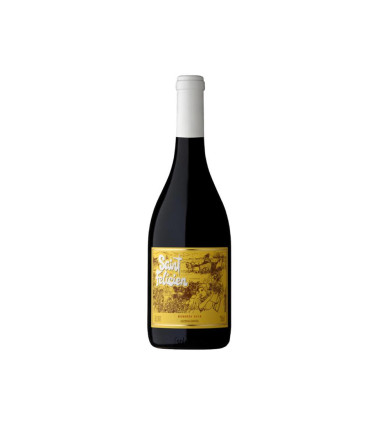 Vino Tinto Saint Felicien Bonarda Bonarda Catena Zapata