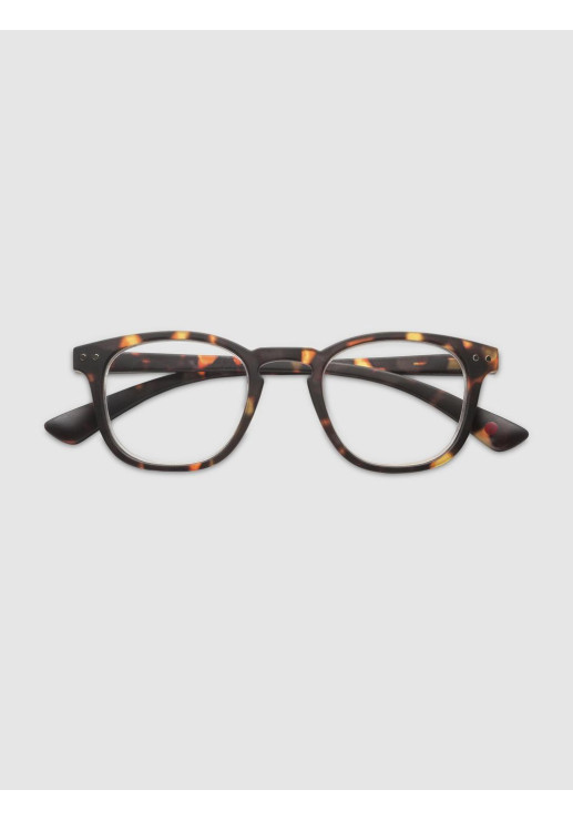 Anteojos B+d Lectura Dot Matt Tortoise