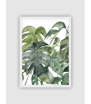 Cuadro Plantas 40x50 Marco Blanco