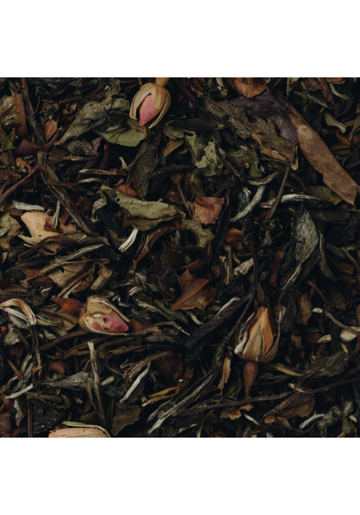 Imperial Rose