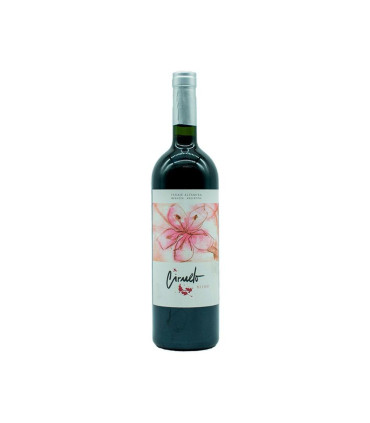 Vino Blend Ciruelo Finca Las Glicinas