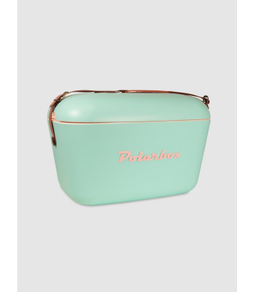 Conservadora Aqua Polar Box Correa Marrón 20lts