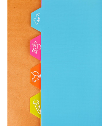 Set Placas Corte Flexibles Multicolor
