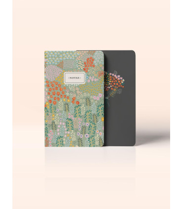 Dupla De Libretas Praderas