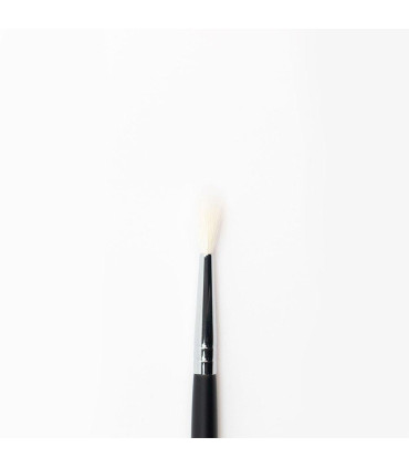 Baby Blender Blush - Sp68