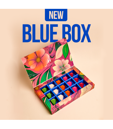 Case X 15 Unidades Blue