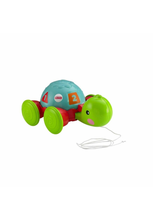 Tortuga Arrastre