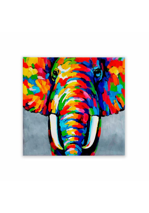 Cuadro Elefante En Colores