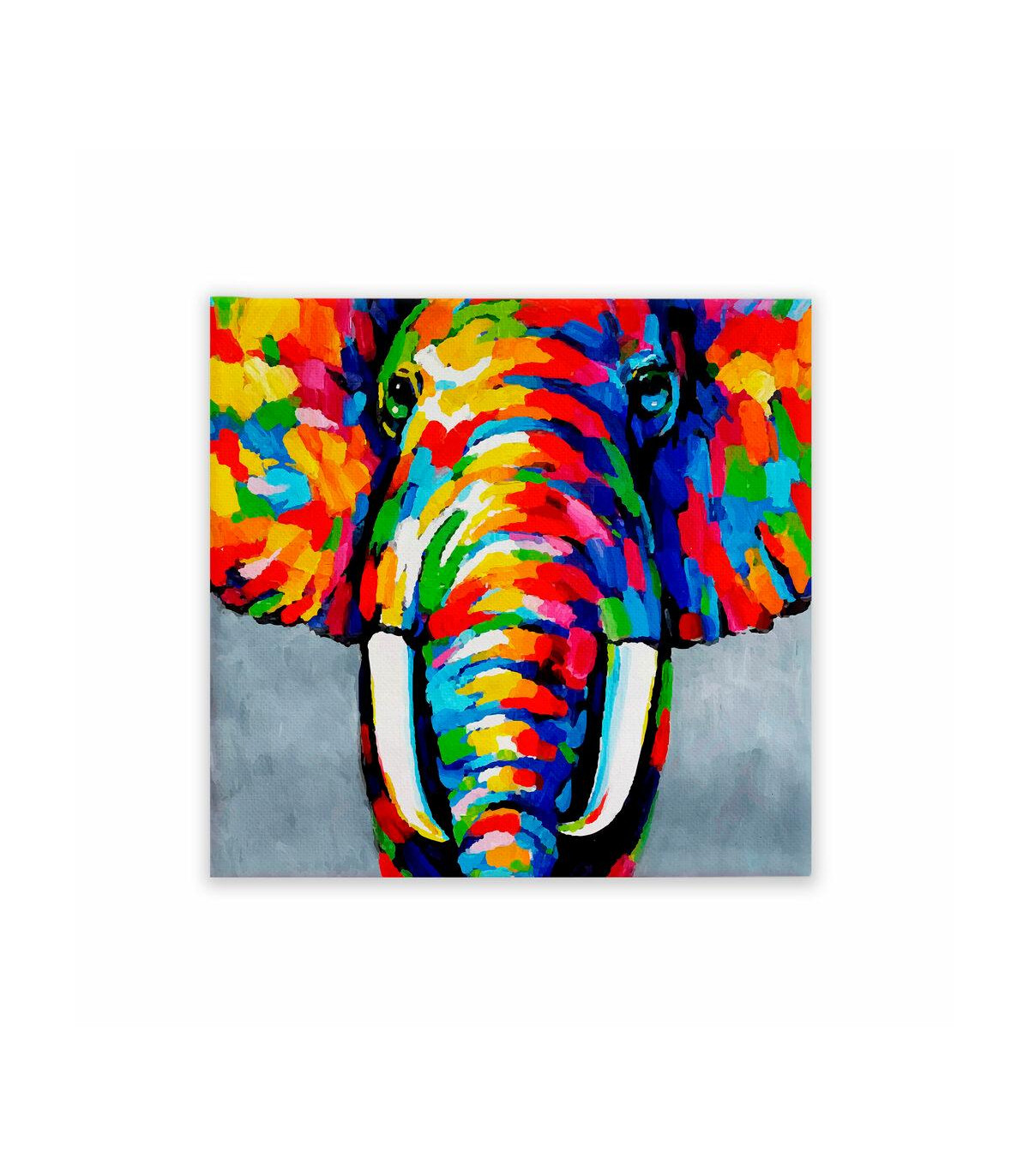 Cuadro Elefante En Colores