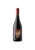 Vino Tinto Tatu Cabernet Sauvignon Wine Is Art