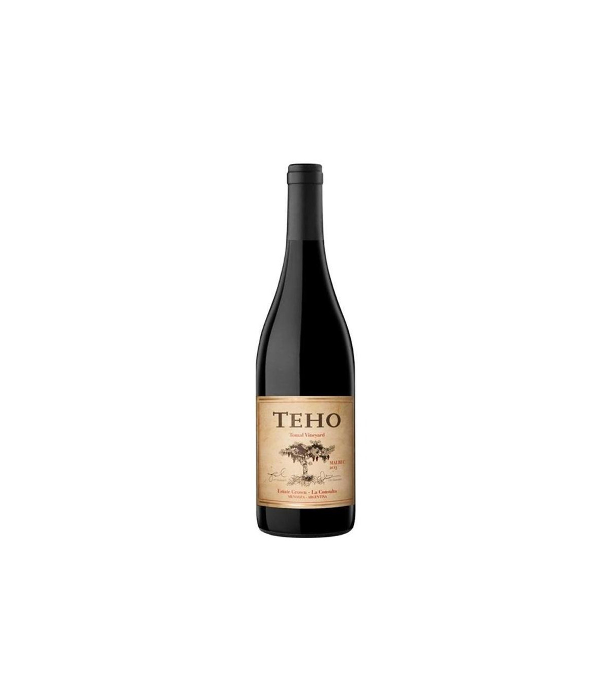 Vino Tinto Teho Malbec Manos Negras