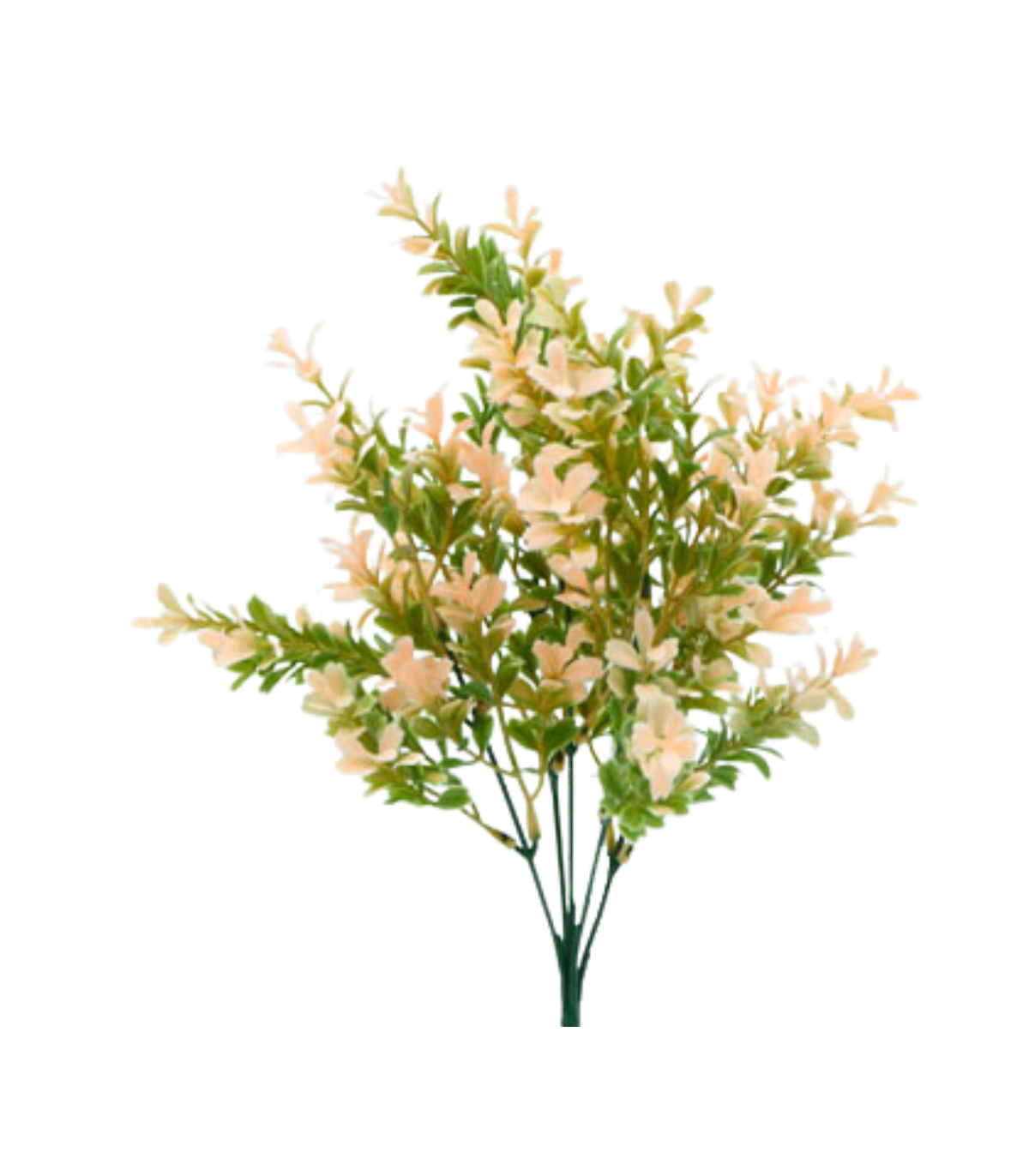 Vara Flowers Bojes