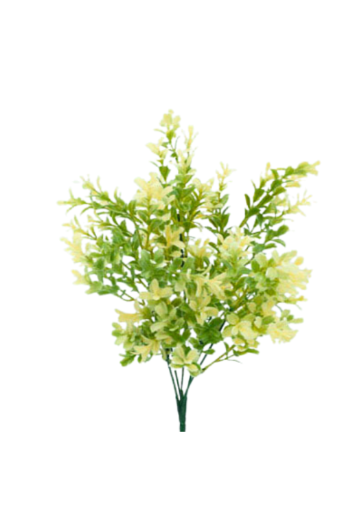 Vara Flowers Bojes