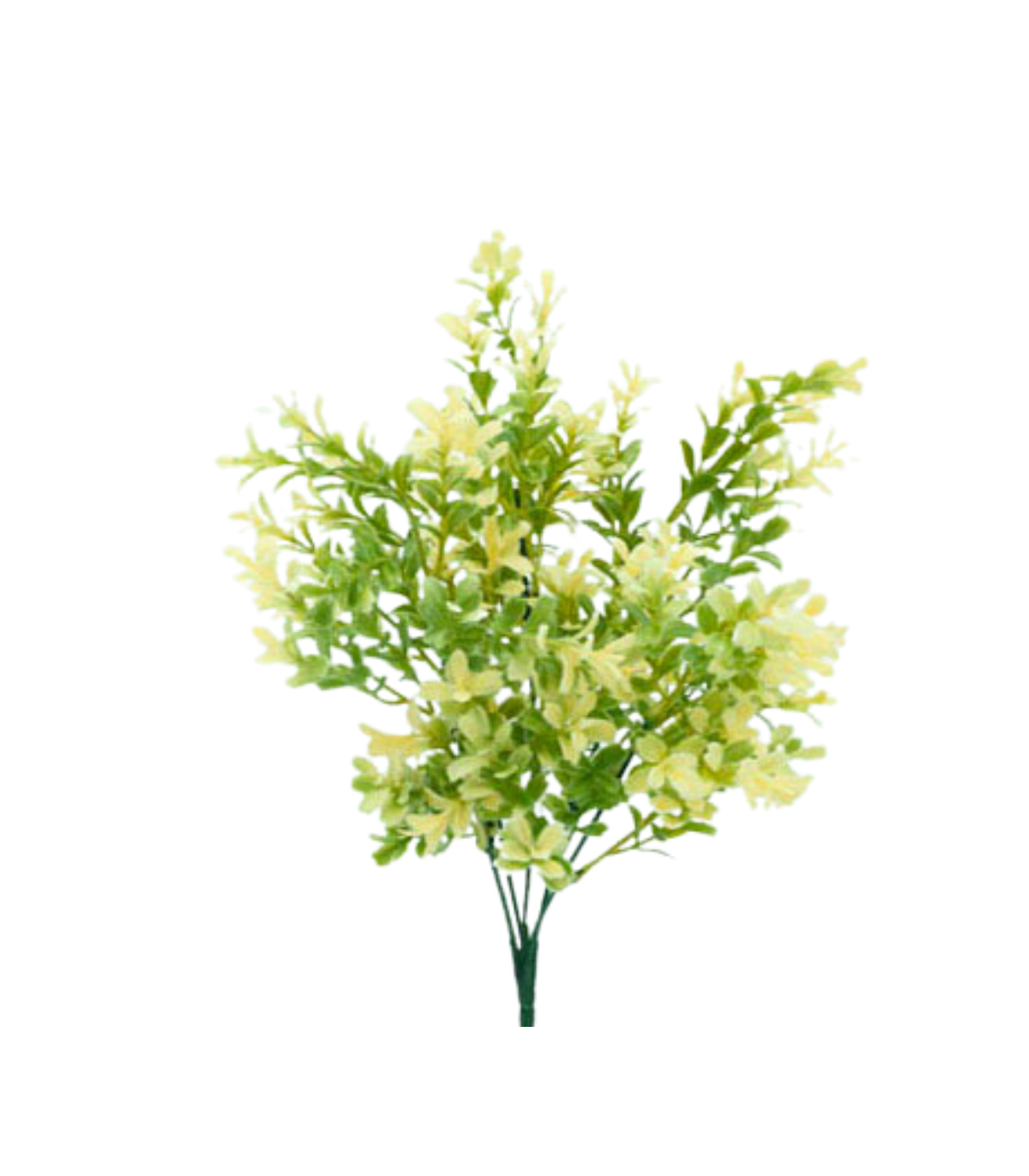 Vara Flowers Bojes